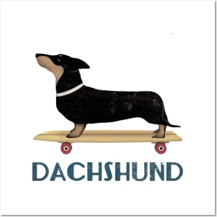 Dachshund Posters and Art